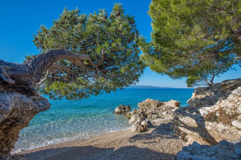 Apartments Kovacic Makarska Dış mekan fotoğraf